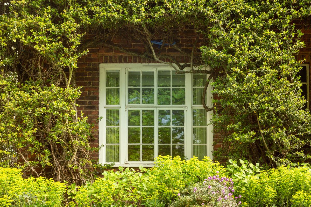 uPVC casement windows