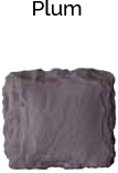 plum plum